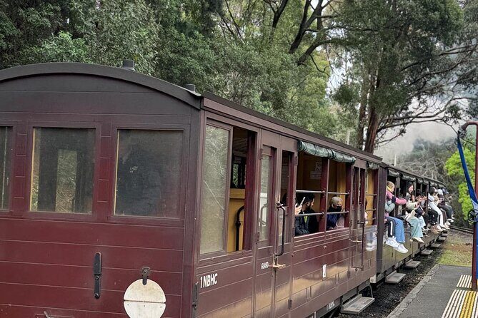 Melbourne: Private Puffing Billy Train & Phillip Island Tours - Scenic Drive Through Dandenong Ranges