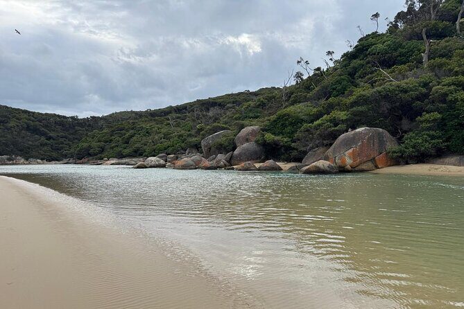 Melbourne: Private Wilson Promontory National Park Day Tours - Transportation and Comfort