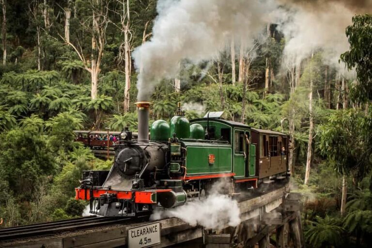 Melbourne Puffing Billy Penguin Yarra Valley Wine choc Tour - Overall Value and Who It’s Best For