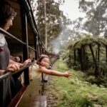 Melbourne Puffing Billy Train and Penguin Parade Day Tour Escape - What’s Included and What’s Not?
