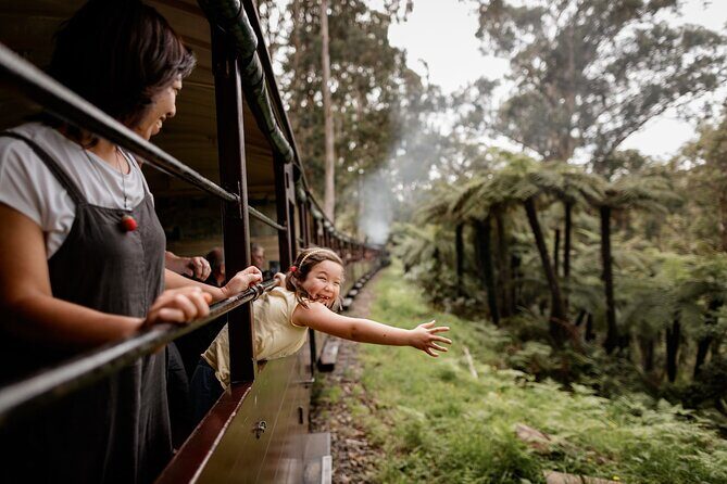Melbourne Puffing Billy Train and Penguin Parade Day Tour Escape - What’s Included and What’s Not?
