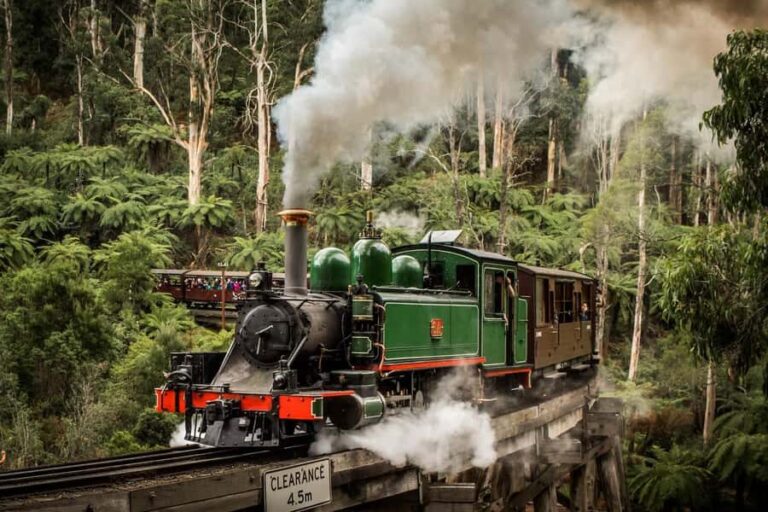 Melbourne: Puffing Billy Train Wildlife Zoo Private Tour - Final Thoughts