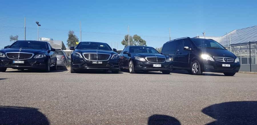 Melbourne to Adelaide Road Trip via Great Ocean Rd - 11 pax - Why This Tour Offers Great Value