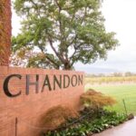 Melbourne: Yarra Valley Wine & Cherry Picking Day Trip - Who Is This Tour Best For?