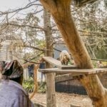 Melbourne Zoo: 1-Day Entry Ticket - What to Expect on Your Visit