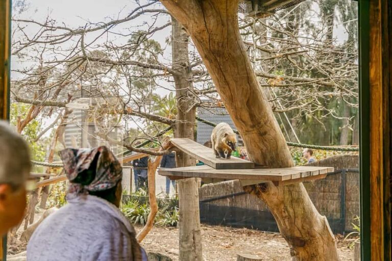 Melbourne Zoo: 1-Day Entry Ticket - What to Expect on Your Visit