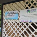 Miches: Los Haitises, Transfer, Walking & Boat tour. - Practical Considerations