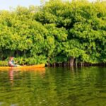Miches: Private Kayak Excursion Through El Limón Lagoon - The Itinerary in Detail