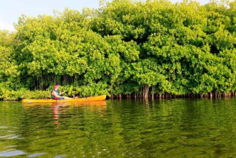 Miches: Private Kayak Excursion Through El Limón Lagoon - The Itinerary in Detail