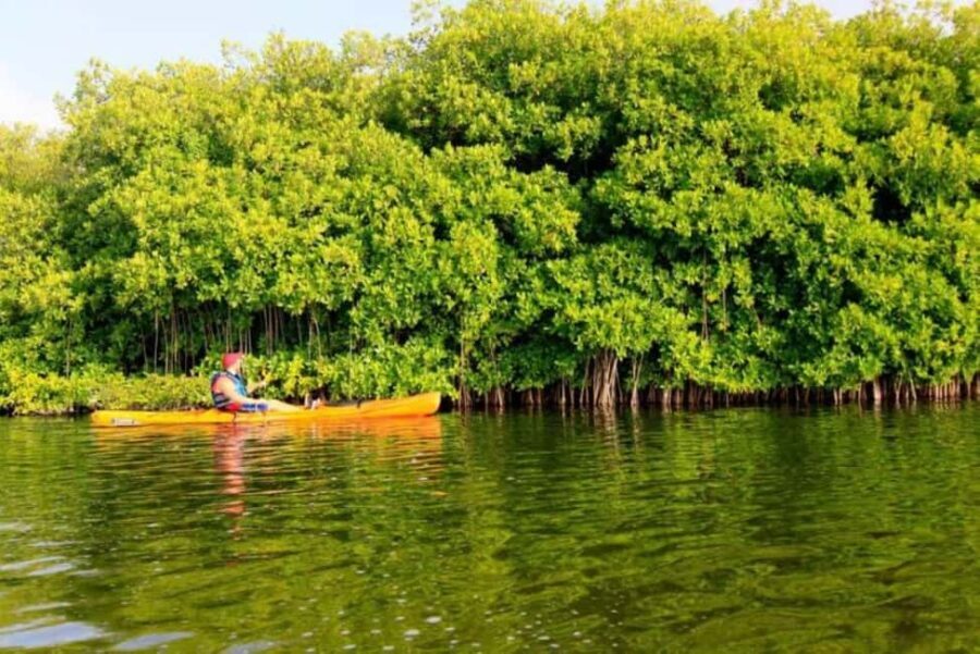 Miches: Private Kayak Excursion Through El Limón Lagoon - The Itinerary in Detail