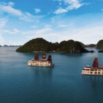 Mila Cruises 3 Day Explore Halong Bay from Hanoi - Who Is This Tour Best For?