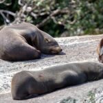 Milford Sound Extended Cruise with Southern Discoveries - The Itinerary Breakdown