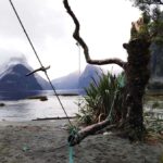 Milford Sound, Mount Cook & More: 4 Day Tour from Auckland - The Value of This Tour