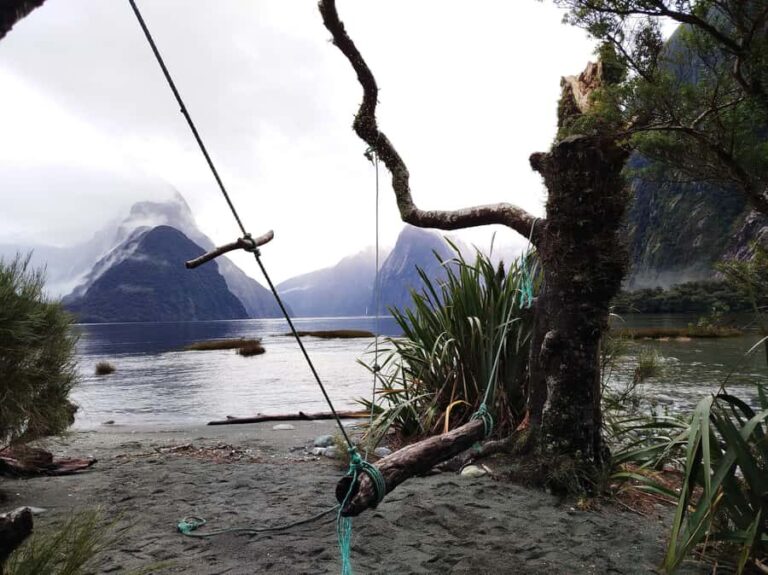 Milford Sound, Mount Cook & More: 4 Day Tour from Auckland - The Value of This Tour