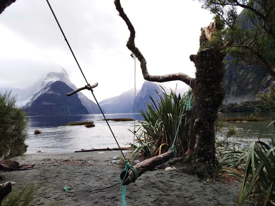 Milford Sound, Mount Cook & More: 4 Day Tour from Auckland - The Value of This Tour