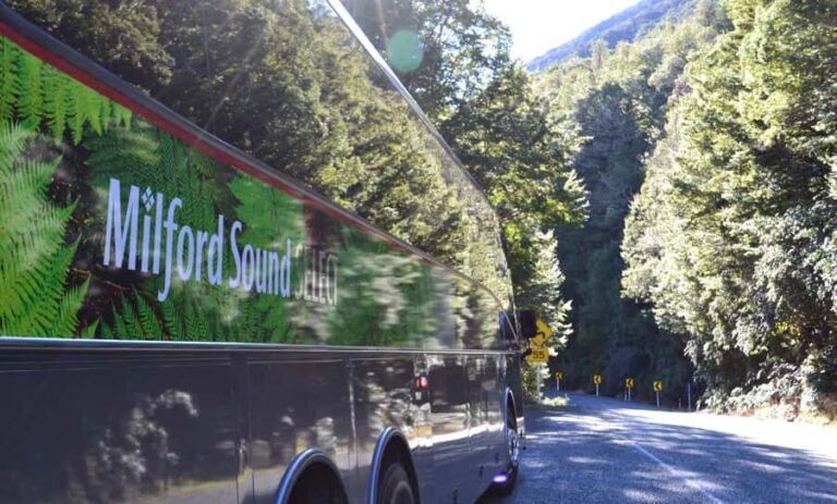 Milford Sound Premium Day Tour and Cruise from Te Anau - The Overall Experience and Practicalities