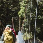 Milford Track Day Walk with Lake Te Anau Water Taxi - What’s Included & Meeting Points