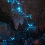 Milkyway Glowworm Cave Tour from Auckland Port - Is This Tour Worth It? Analyzing the Value