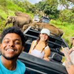 Minneriya Elephant Safari with Driver and Guide - Why This Tour Is Worth the Money