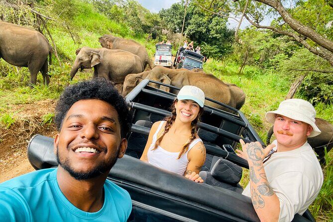 Minneriya Elephant Safari with Driver and Guide - Why This Tour Is Worth the Money