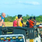 Minneriya half day elephant safari/largest gathering - Why it’s a Great Value
