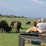 Minneriya Jeep Safari Tour from Pasikudah - Detailed Review of the Tour