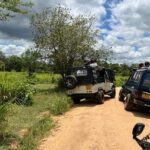 Minneriya National Park Elephant Safari Tour - Authentic Encounters & Expert Guidance