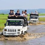 Minneriya National Park halfday Safari - A Deep Dive into the Safari Experience