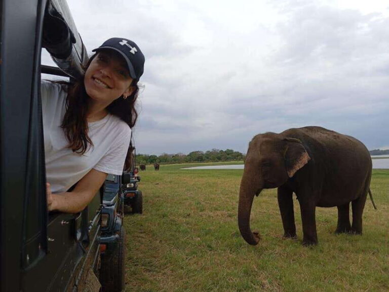 Minneriya National Park: Private Safari with Hotel Pick-up - Practical Details That Matter