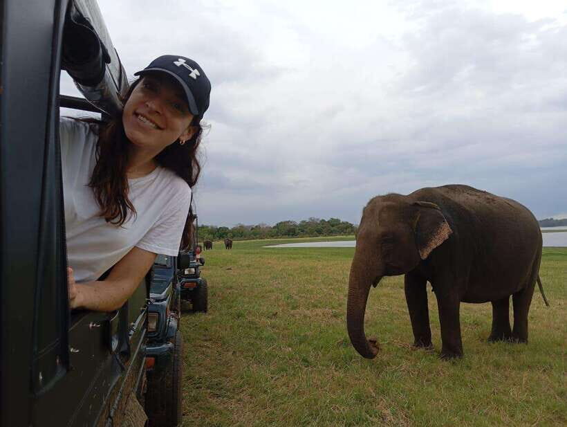 Minneriya National Park: Private Safari with Hotel Pick-up - Practical Details That Matter