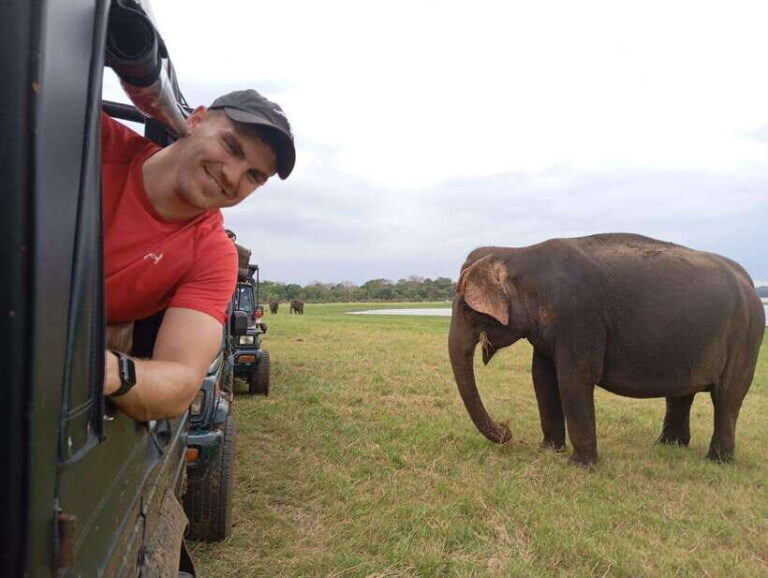 Minneriya National Park: Private Safari with Hotel Pick-up - In-Depth Breakdown of the Safari Itinerary