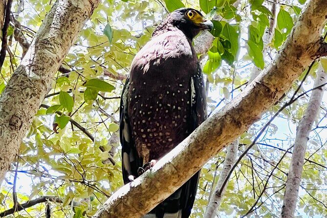 Minneriya National Park Shared 4WD Adventure - The Experience’s Practical Aspects