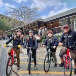 Minoh Falls & Katsuoji Temple Half Day E-Bike Tour - What We Loved About the Tour