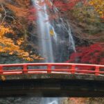 Minoo Park Private Tour: Nature, Temples, and Coffee Bliss - Visiting Ryuanji Temple: A Spiritual Sanctuary