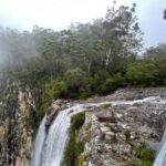 Minyon Waterfall Rainforest Tour - Why This Tour Stands Out
