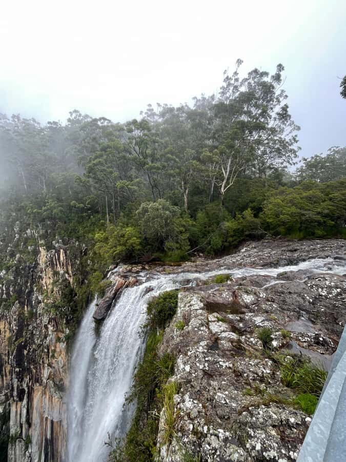 Minyon Waterfall Rainforest Tour - Why This Tour Stands Out