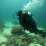 Mirissa : Guided Scuba Diving Experience with Coral - Who Should Consider This Experience?