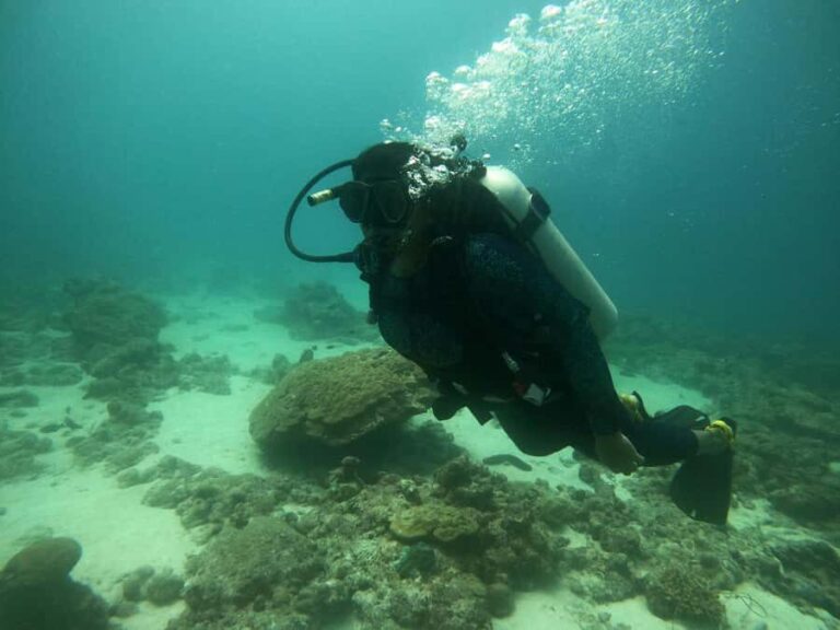 Mirissa : Guided Scuba Diving Experience with Coral - Who Should Consider This Experience?