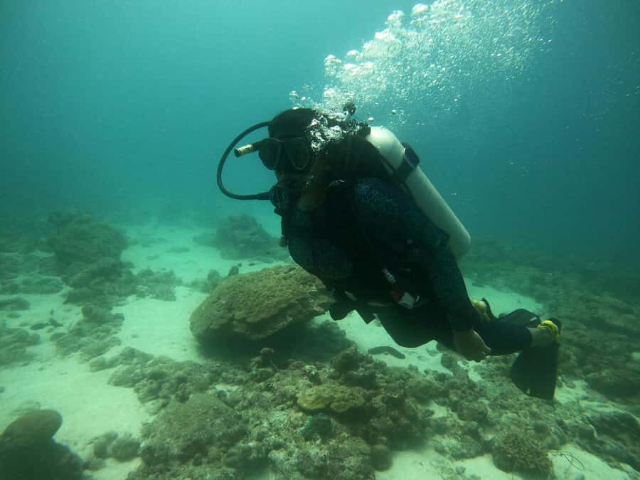 Mirissa : Guided Scuba Diving Experience with Coral - Who Should Consider This Experience?