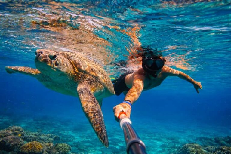 Mirissa: Guided Turtle Snorkeling Experience with Coral Reef - The Itinerary in Detail