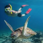 Mirissa: Ocean Magic Snorkeling with Turtles - A Deep Dive into the Snorkeling Adventure