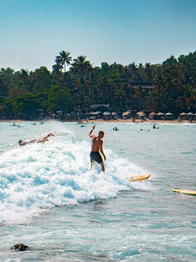 Mirissa or kalpitiya surf camp tour for beginners & experts - Who Should Consider This Tour?