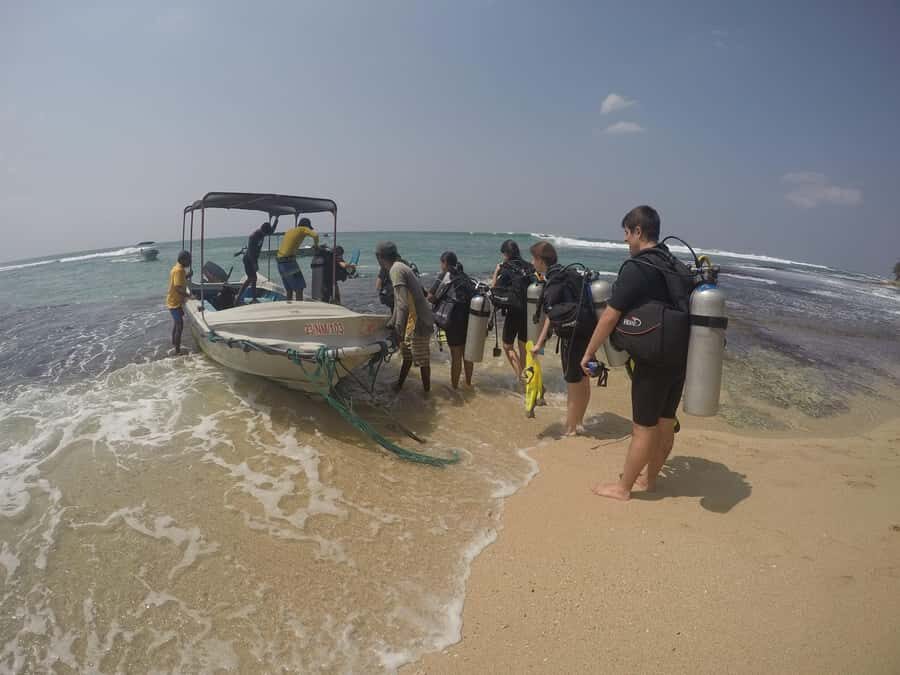 Mirissa: Scuba Diving & Shipwreck Dives for All Levels - Why This Tour Offers Great Value