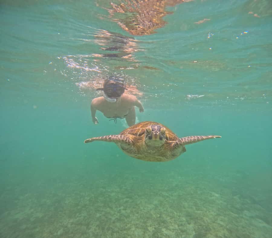Mirissa Snorkeling Tour with Turtle Adventure and Free Video - Why You’ll Love This Experience