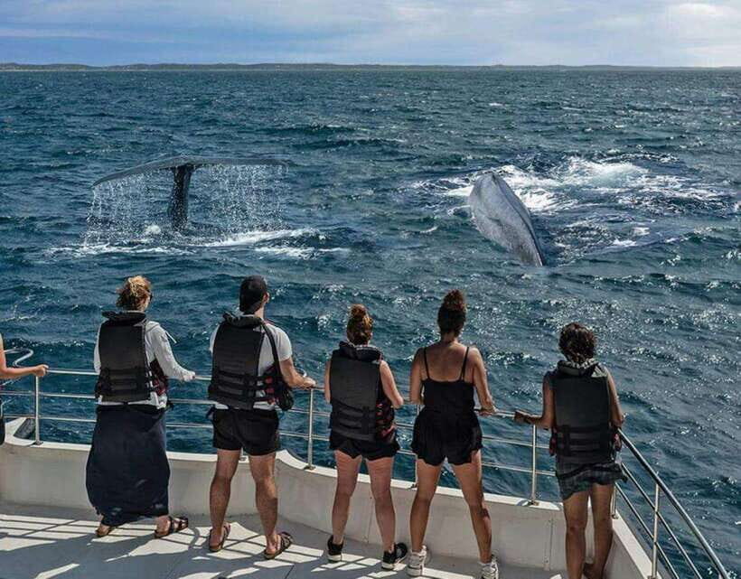 Mirissa: Whale Watching Cruise - Why Mirissa is a Top Spot for Whale Watching