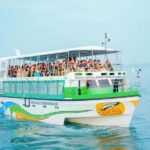 Mirissa: Whale watching day trip from Colombo and Ahungalla - The Whale Watching Experience: Up Close with Giants