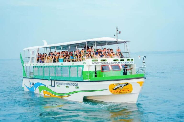 Mirissa: Whale watching day trip from Colombo and Ahungalla - The Whale Watching Experience: Up Close with Giants