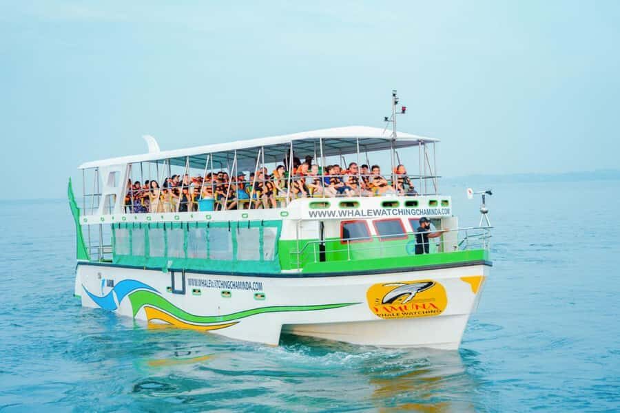 Mirissa: Whale watching day trip from Colombo and Ahungalla - The Whale Watching Experience: Up Close with Giants