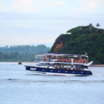 Mirissa: Whale Watching Tour - The Itinerary Breakdown