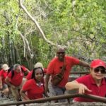 Misteriosas Cuevas, Elegantes Flamencos y Relax en Porto Marie - Final Thoughts